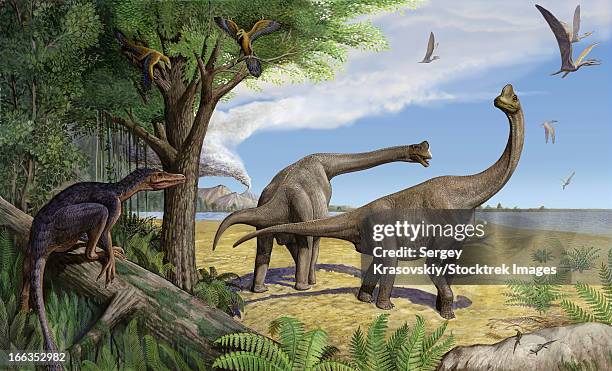 ilustrações, clipart, desenhos animados e ícones de a raptor stalks a pair of grazing europasaurus holgeri dinosaurs. - velociraptor