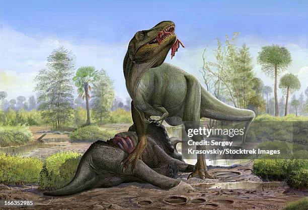 illustrations, cliparts, dessins animés et icônes de a tyrannosaurus rex eats the carrion of a dead triceratops in prehistoric wetlands. - herbivore