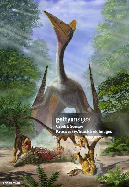 Struthiosaurus Struthiosaurus Photos and Premium High Res Pictures - Getty Images