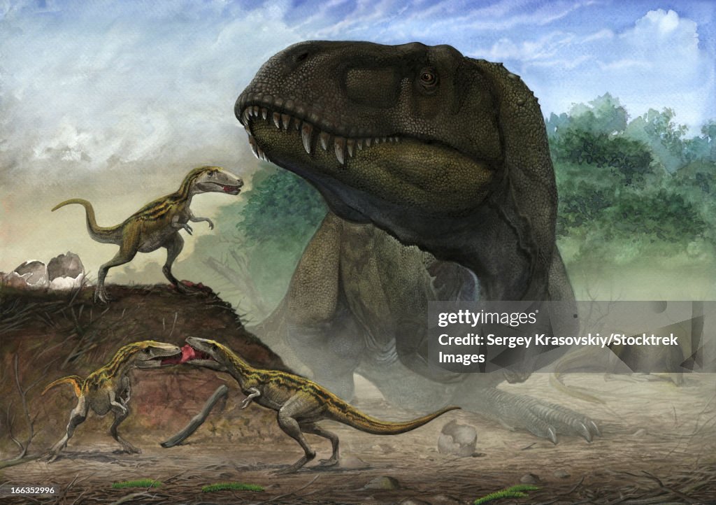 A family of Zhuchengtyrannus magnus, the mother with their offspring.