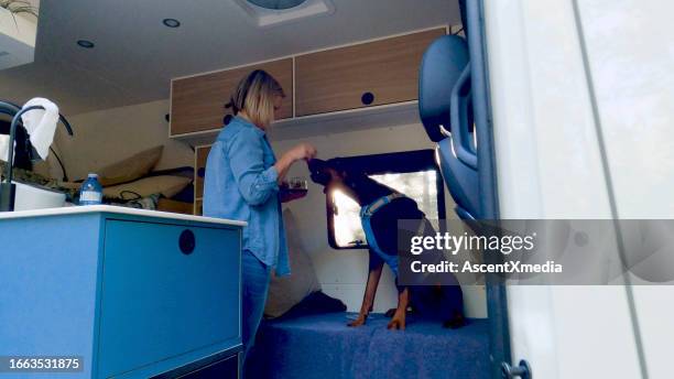 woman enjoys time in camper van - pampered pets stock pictures, royalty-free photos & images