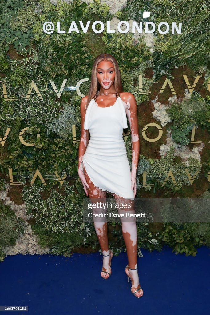 LAVO Launch Party