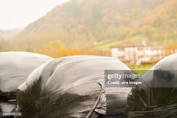 some black painted straw bales containers are organized one on one in a farm. straw bale in a farm. - falda negra imagens e fotografias de stock