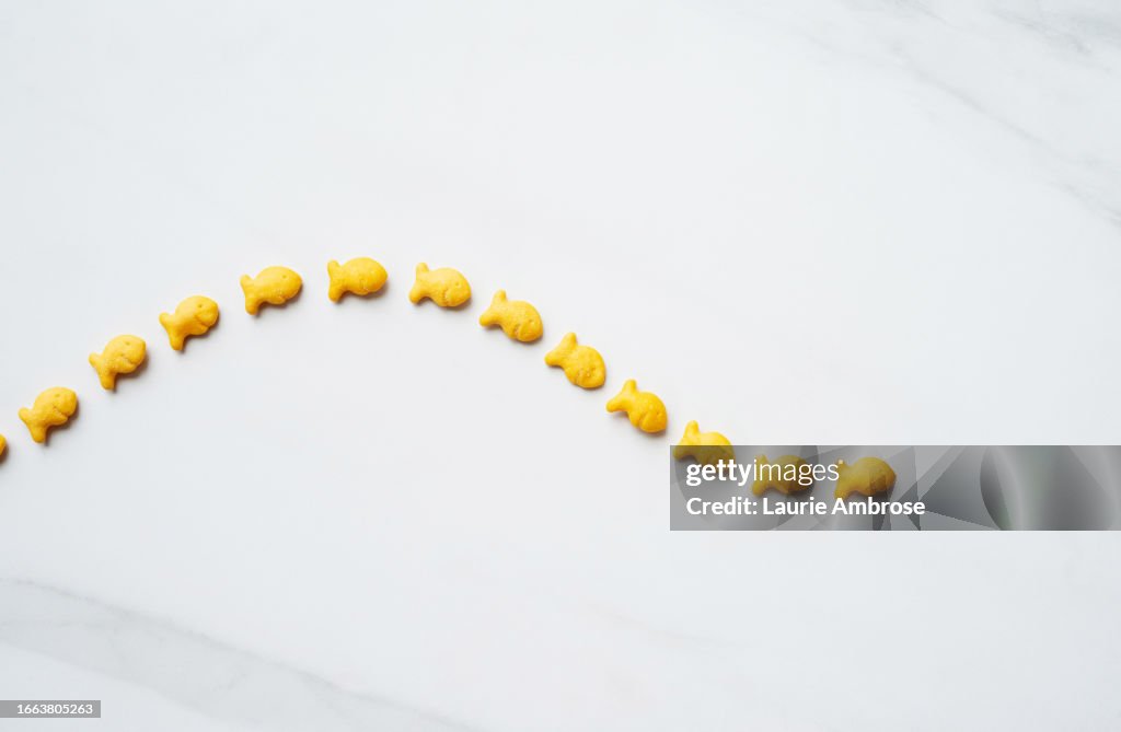 Goldfish