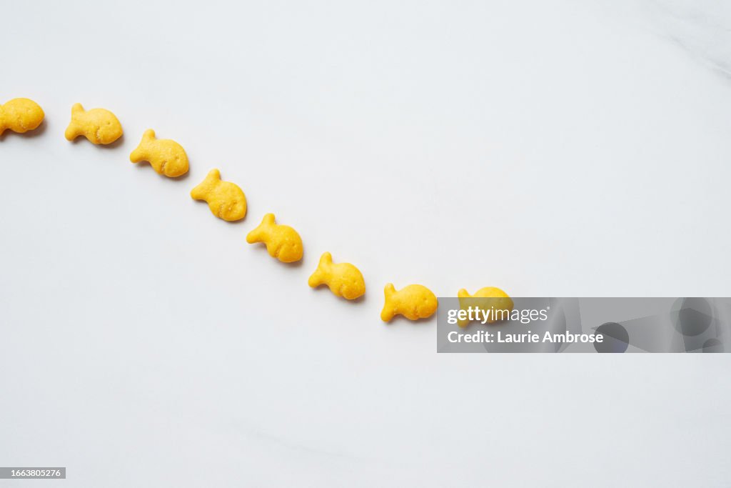 Goldfish