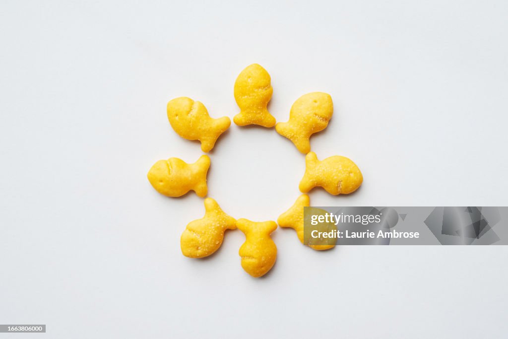 Goldfish