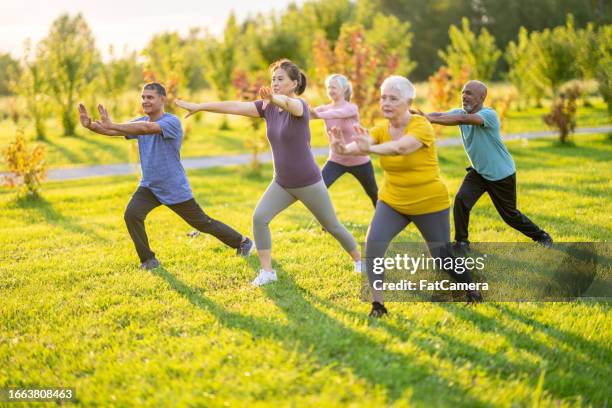 outdoor tai chi - tai chi stock pictures, royalty-free photos & images