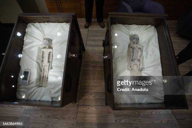 Two 'non-human' beings displayed to the media during a press conference of Mexican journalist and UFO expert, Jaime Maussan, at the Camino Real...