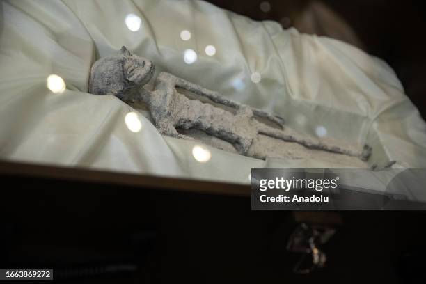 One of the two 'non-human' beings displayed to the media is seen during a press conference of Mexican journalist and UFO expert, Jaime Maussan, at...