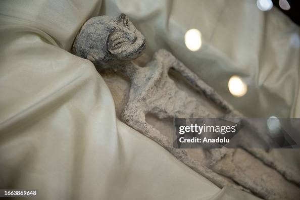 "Non-human" alien corpses are displayed to the media in Mexico City "Non-human" alien corpses are displayed to the media in Mexico City