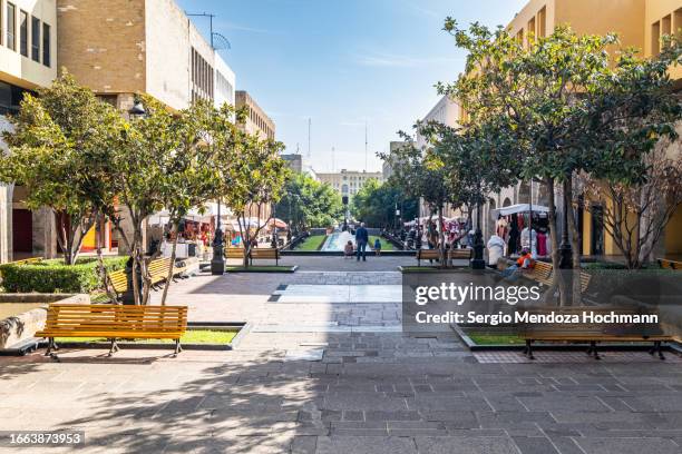 paseo degollado pedestrian street in downtown guadalajara, jalisco, mexico - guadalajara méxico stockfoto's en -beelden