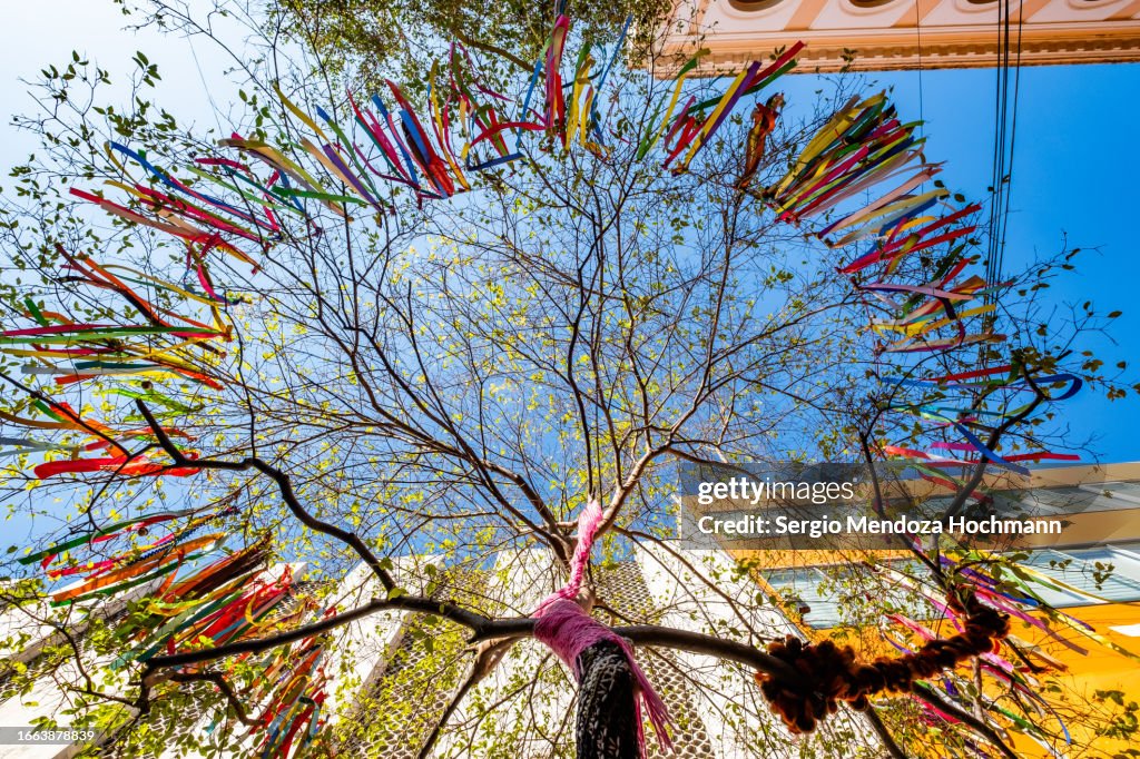 A festive tree with ribbons in downtown Guadalajara, Jalisco, Mexico