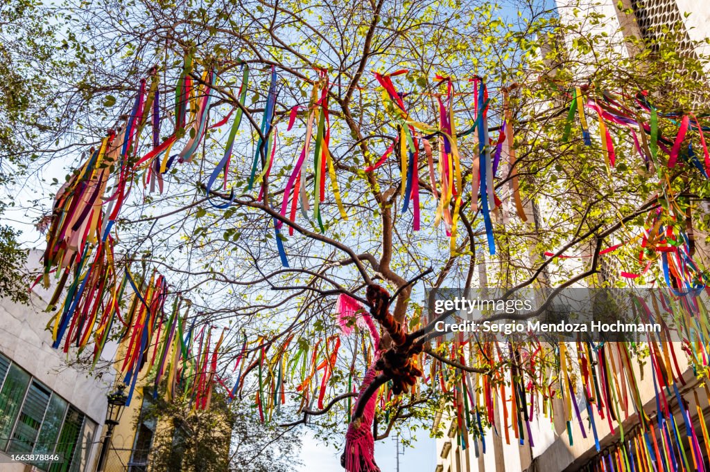 A festive tree with ribbons in downtown Guadalajara, Jalisco, Mexico