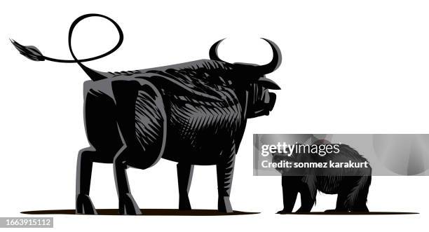 bull and bear face to face - bear isolated stock illustrations