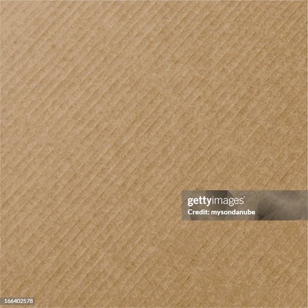 vektor realistische papier textur - cardboard box stock-grafiken, -clipart, -cartoons und -symbole