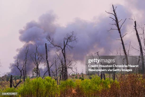 Smoke rises from a wildfire in rural Walker County, that has spread up to 3,800 acres, on Saturday, Sept. 2, 2023 north of Huntsville.