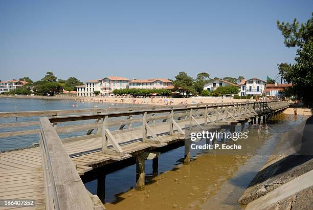 hossegor seaside resort, salt lake - levend organisme stockfoto's en -beelden