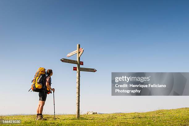 getting directions - wegwijzer stockfoto's en -beelden