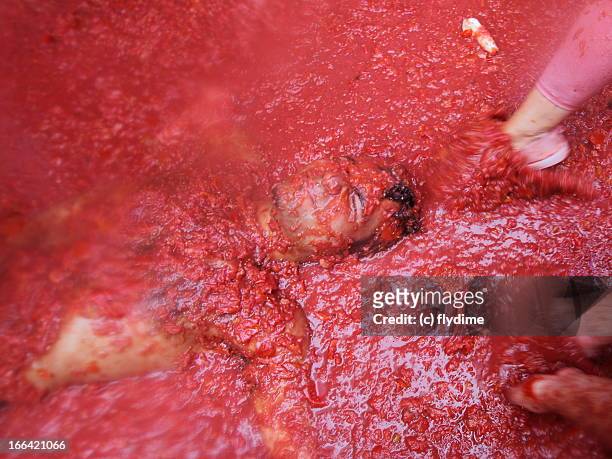 la tomatina food fight festival / spain, buñol - la tomatina valencia stock pictures, royalty-free photos & images