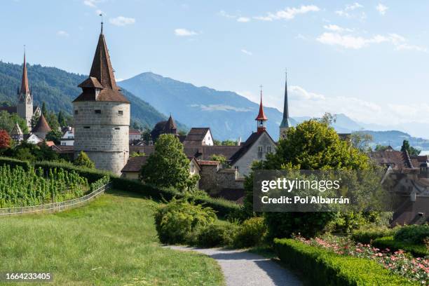 beautiful panoramic view of the old town of zug, switzerland with historical turrets and towers and famous rigi mountain on background - zug stock pictures, royalty-free photos & images