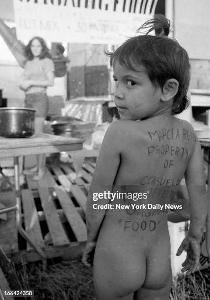 Watkins Glen Rock Festival, Summer Jam at Watkins Glen, N.Y. With The Allman Brothers Band, Grateful Dead and The Band performing. 600,000 rock buffs...