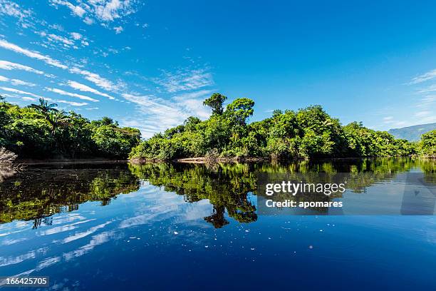 tranquilas aguas sobre un río en el amazonas estado de venezuela - amazonas fotografías e imágenes de stock