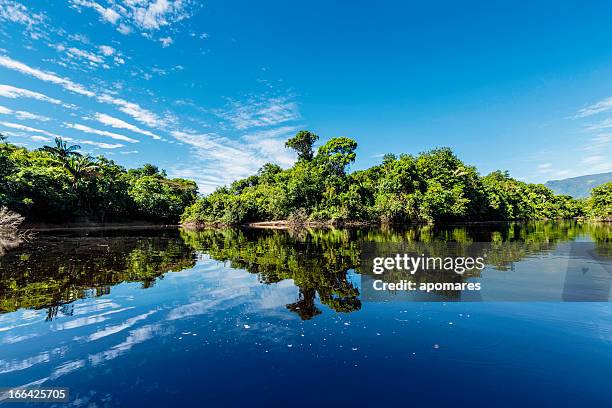tranquil waters on a river in the amazon state venezuela - amazon river stock pictures, royalty-free photos & images