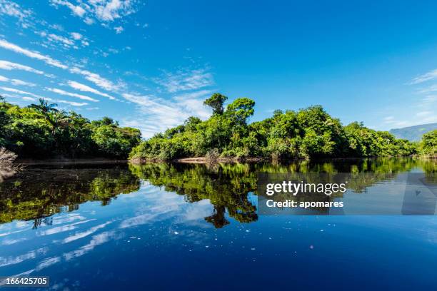 tranquil waters on a river in the amazon state venezuela - river amazon 個照片及圖片檔