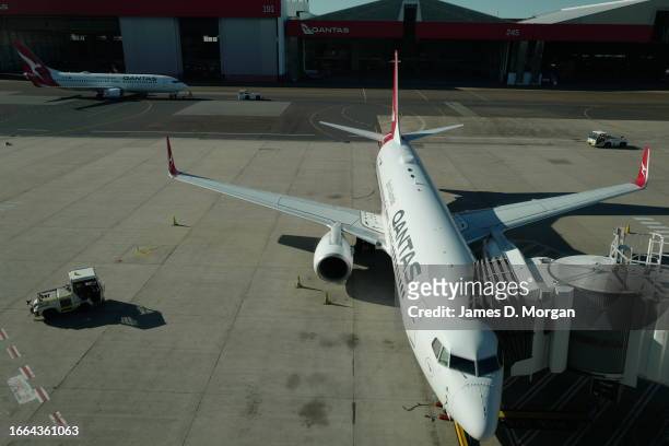 Qantas aircraft at the domestic terminal at Sydney's Kingsford Smith Airport on September 05, 2023 in Sydney, Australia.