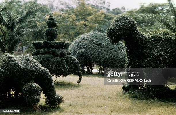 The Royal Palace In Thailand. Thaïlande- Bangkok- 1961- Le palais privé du roi BHUMIBOL ADULYADEJ et de la reine SIRIKIT. Dans le parc royal,...