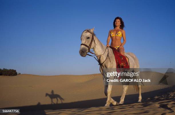 Rendezvous With Marie-France Pisier At The Golden Dunes In Agadir. Au Maroc, à Agadir, en novembre 1983, lors d'une randonnée à cheval, Marie-France...