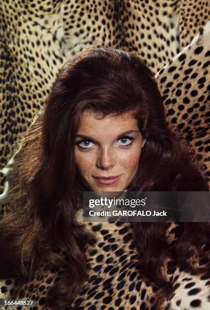 Samantha Eggar Poses In Studio. Royaume Uni- avril 1966- Portrait studio de Samantha EGGAR, actrice anglaise, en tenue de peau de léopard sur fond...