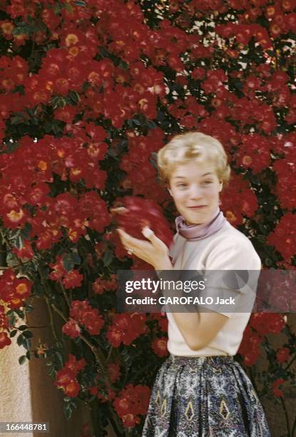 Rendezvous With Romy Schneider, 19 Years Old, In Cannes. Attitude souriante de Romy SCHNEIDER devant un massif de fleurs rouges à CANNES.