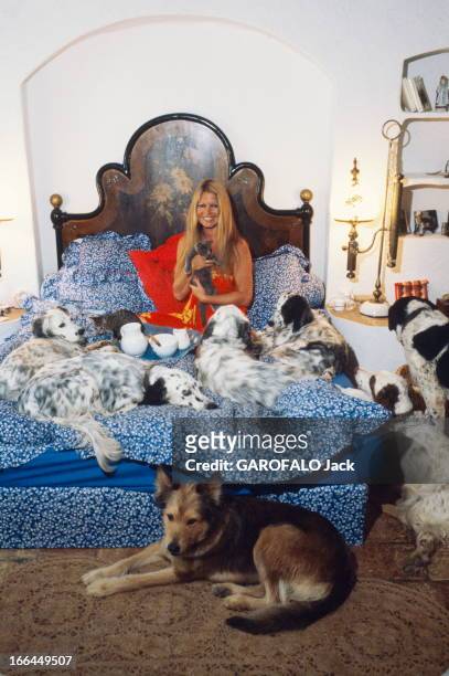 Rendezvous With Brigitte Bardot On Holiday In Saint-Tropez. Brigitte BARDOT dans son lit chez elle à Saint-Tropez, entourée de ses chiens. Juillet...