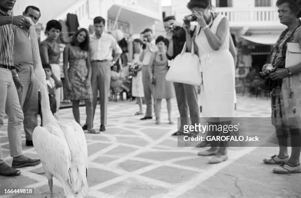 Visit Of Greece. Grèce, juin 1966, visite du pays, sa culture, ses paysages, ses habitants. Ici sur la place d'un village, des touristes sont...