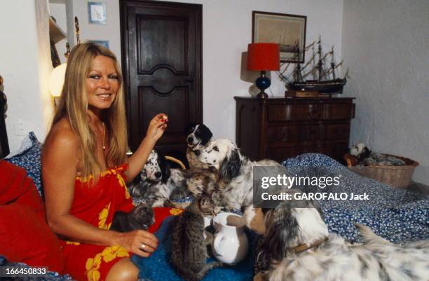 Rendezvous With Brigitte Bardot On Holiday In Saint-Tropez. Brigitte BARDOT dans son lit chez elle à Saint-Tropez, entourée de ses chiens et ses...