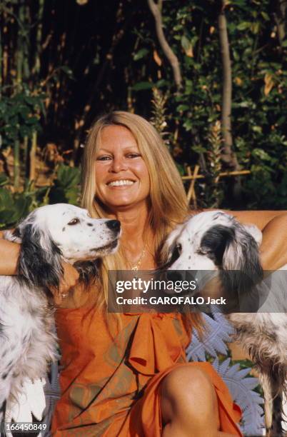 Rendezvous With Brigitte Bardot On Holiday In Saint-Tropez. Brigitte BARDOT à Saint-Tropez entourée de ses chiens. Juillet 1980.