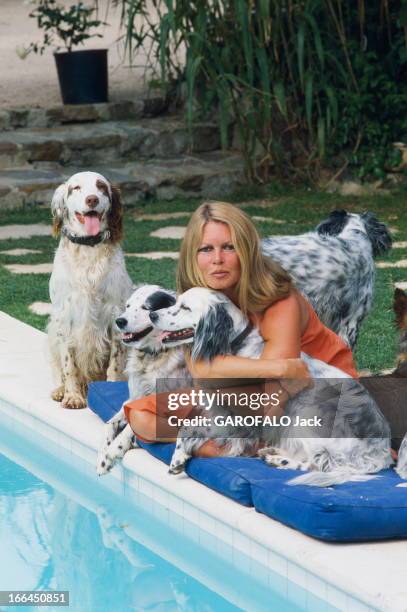 Rendezvous With Brigitte Bardot On Holiday In Saint-Tropez. Brigitte BARDOT au bord de sa piscine à Saint-Tropez, entourée de ses chiens. Juillet...