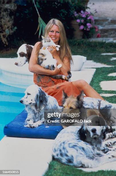 Rendezvous With Brigitte Bardot On Holiday In Saint-Tropez. Brigitte BARDOT à Saint-Tropez avec ses chiens et un de ses chats. Juillet 1980.