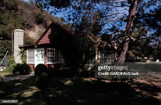 The House Of Sharon Tate. Californie, Bel Air- octobre 1969- la propriété de Sharon TATE, actrice américaine; prise de vue générale, des pins au...