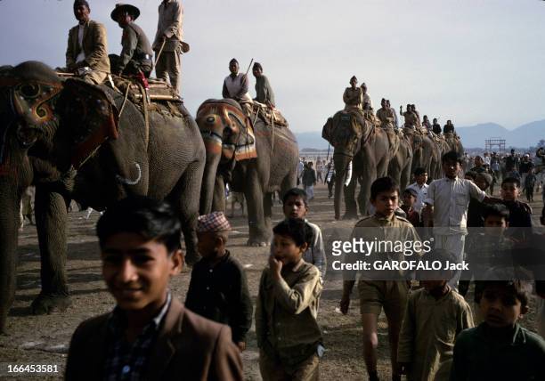 Nepal. Népal- mars 1970- Une procession d'éléphants grimés de poudre de couleur sur la tête et les oreilles, montés chacun par deux hommes en costume...