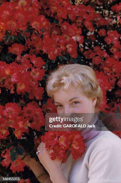 Rendezvous With Romy Schneider, 19 Years Old, In Cannes. Cannes - 2 mai 1957 - Plan de face de l'actrice Romy SCHNEIDER devant un massif de fleurs...