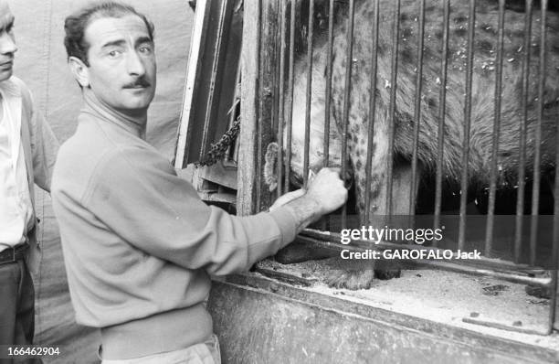 Circus Achille Zavatta. La troupe d'Achille ZAVATTA lors d'une tournée : ici donne à manger à une hyène? enfermée dans une cage.