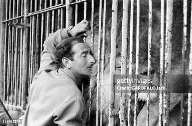Circus Achille Zavatta. La troupe d'Achille ZAVATTA lors d'une tournée : ici le visage collé à une cage pour caresser un lion avec sa tête.