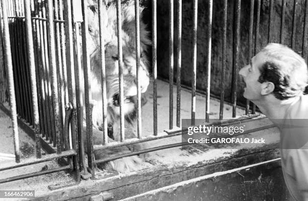 Circus Achille Zavatta. La troupe d'Achille ZAVATTA lors d'une tournée : ici face à un lion enfermé dans une cage.