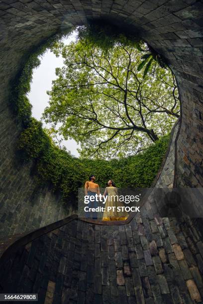 men and women, fort canning tree tunnel, singapore. on a rainy day, a popular place for tourists to take pictures is the tunnel-like structure covered with green trees. - fortress gate and staircases stockfoto's en -beelden