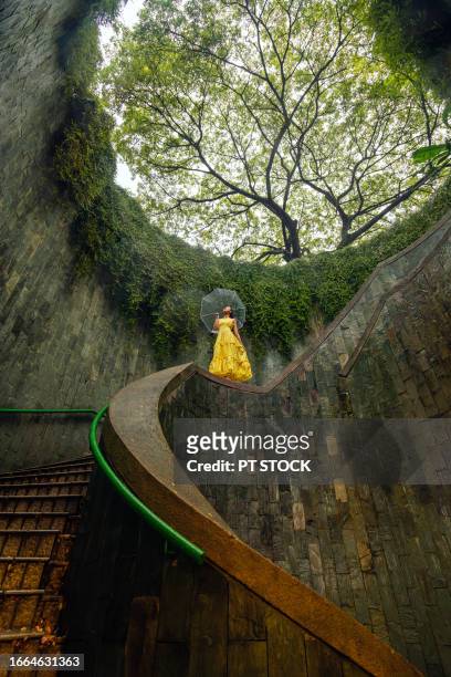 fort canning tree tunnel, singapore on rainy days, a popular place for tourists to take photos is the tunnel-like structure covered in green trees. - fortress gate and staircases stock pictures, royalty-free photos & images