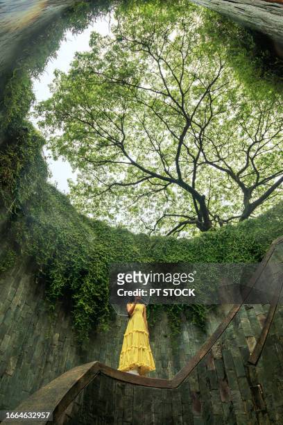 fort canning tree tunnel, singapore on rainy days, a popular place for tourists to take photos is the tunnel-like structure covered in green trees. - fortress gate and staircases bildbanksfoton och bilder