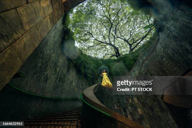 fort canning tree tunnel, singapore on rainy days, a popular place for tourists to take photos is the tunnel-like structure covered in green trees. - fortress gate and staircases stock pictures, royalty-free photos & images