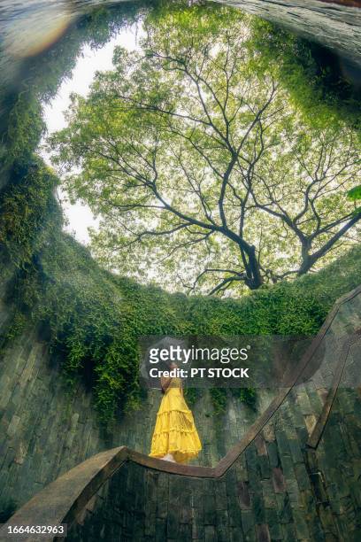 fort canning tree tunnel, singapore on rainy days, a popular place for tourists to take photos is the tunnel-like structure covered in green trees. - fortress gate and staircases stockfoto's en -beelden